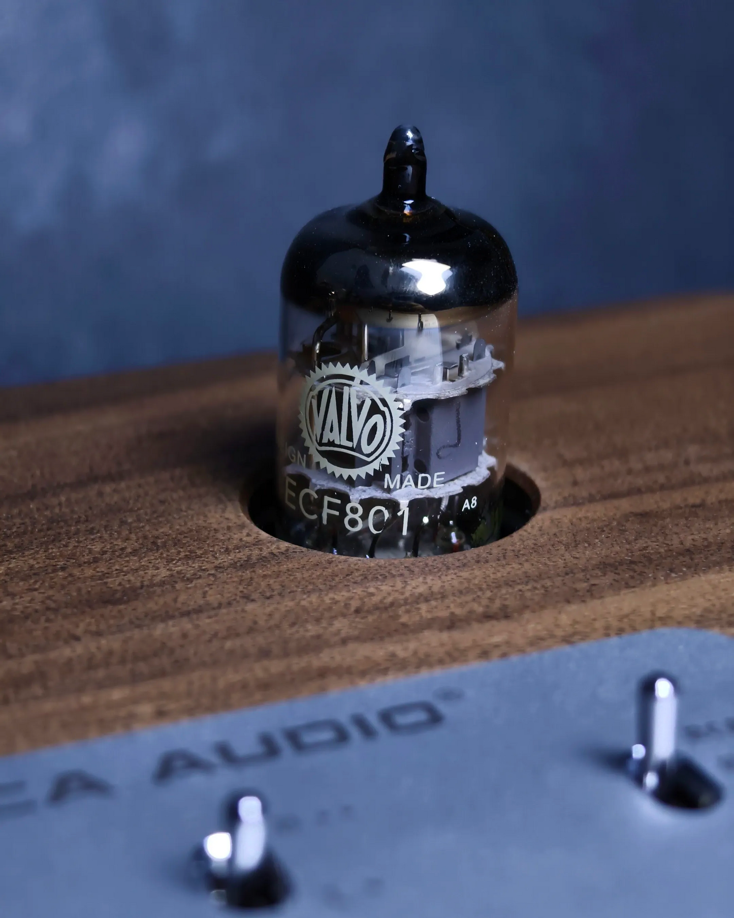 SUCA AUDIO T2 MAX