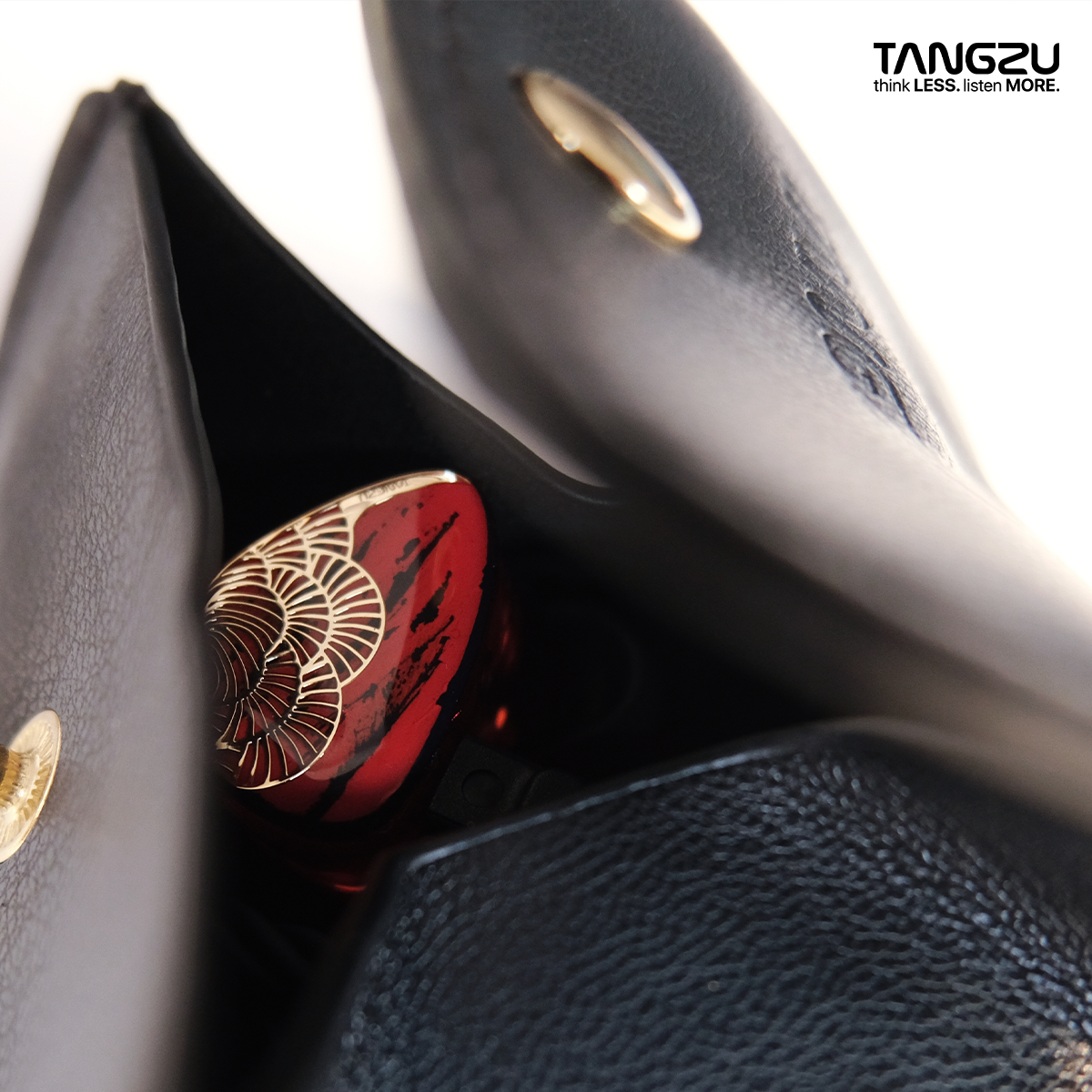 TANGZU XUANNV HiFi monitor headphones Dual DD in-ear wired headphones