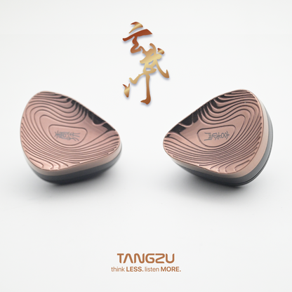 TANGZU Xuanwu Gate In-ear HIFI  Headphones IEM 2-pin 0.78mm Cable Headphones 1DD+4BA +2EST