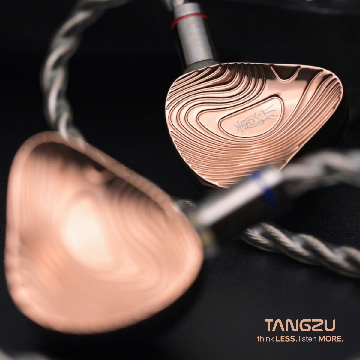 TANGZU Xuanwu Gate In-ear HIFI  Headphones IEM 2-pin 0.78mm Cable Headphones 1DD+4BA +2EST