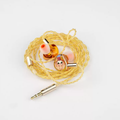LETECIEL x Yuandongsociety TWIN Limited Edition IEM