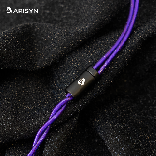 ARISYN Kong You HiFi In-Ear Monitors