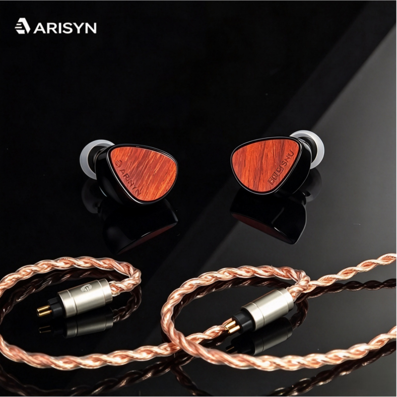 ARISYN Huoshu HiFi In-Ear Monitors