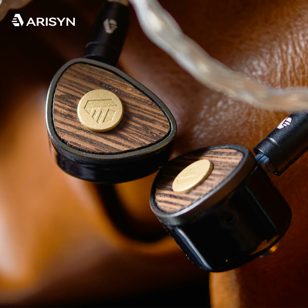 ARISYN BaiYong HiFi In-Ear Monitors