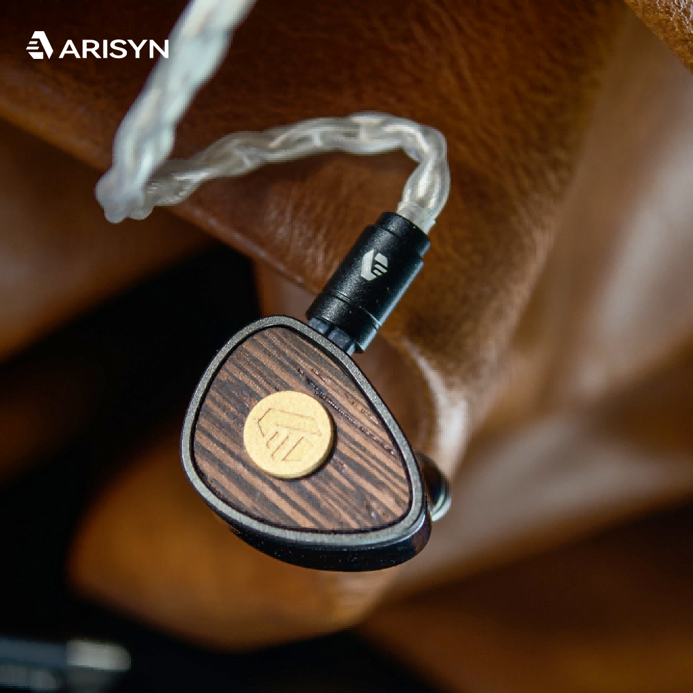 ARISYN BaiYong HiFi In-Ear Monitors