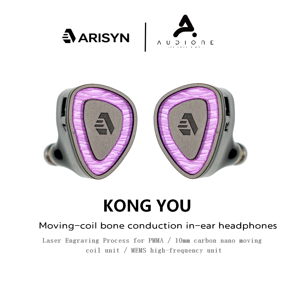 ARISYN Kong You HiFi In-Ear Monitors