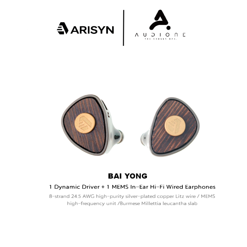 ARISYN BaiYong HiFi In-Ear Monitors